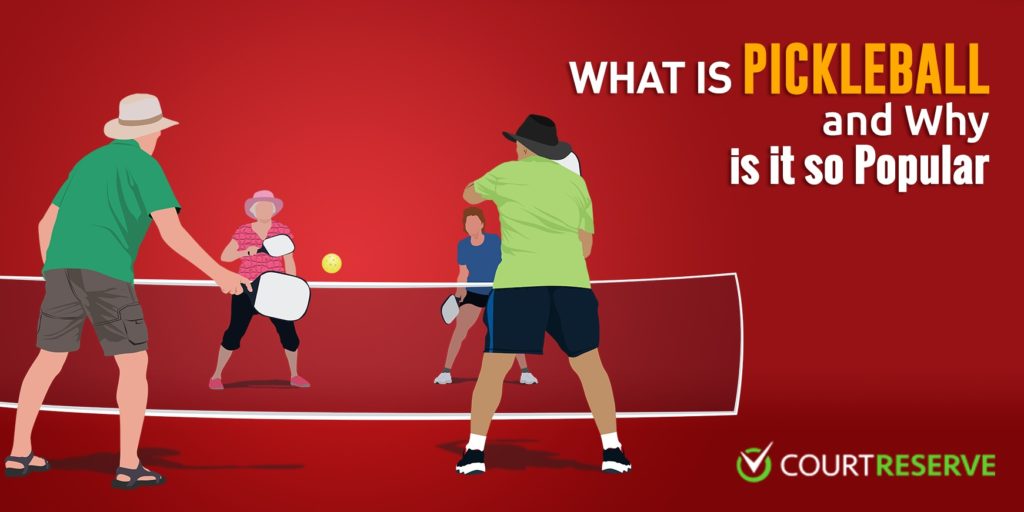 What_is_PickleBall